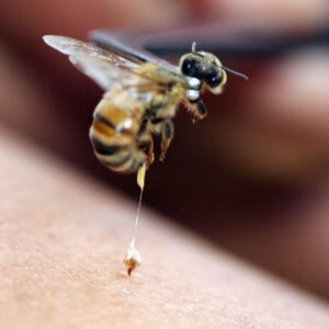 Средства, отпугивающие пчёл